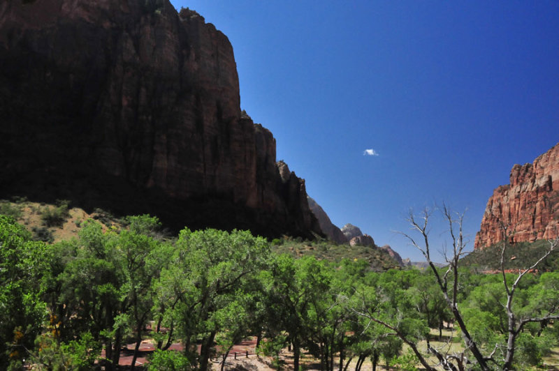 Zion-Utah15 - Virgin River valley - 8414