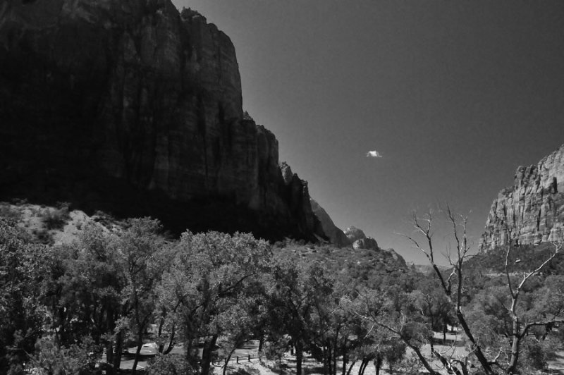 Zion-Utah15 - Virgin River valley - 8414bw