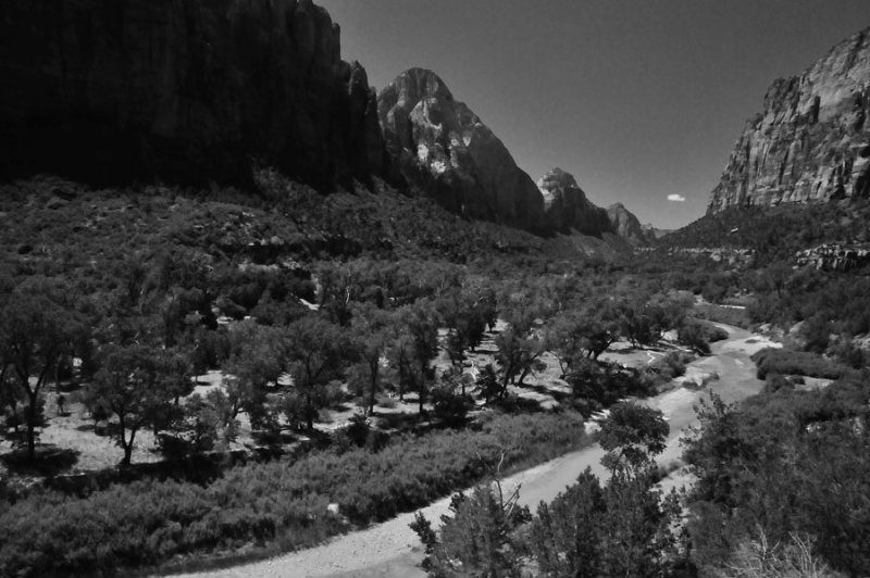 Zion-Utah15 - Virgin River - 8419bw