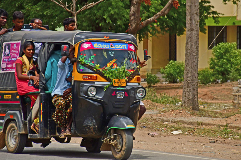 Somewhat more crowded than we were! - India-2-0497