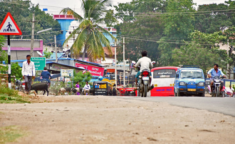 Busy place - India-2-0508