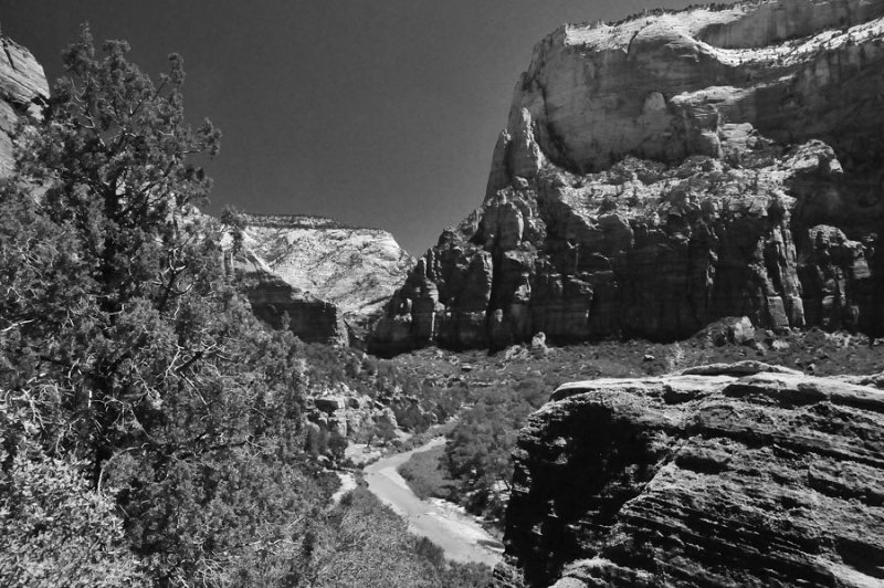 Zion-Utah15 - Virgin River - 8436bw