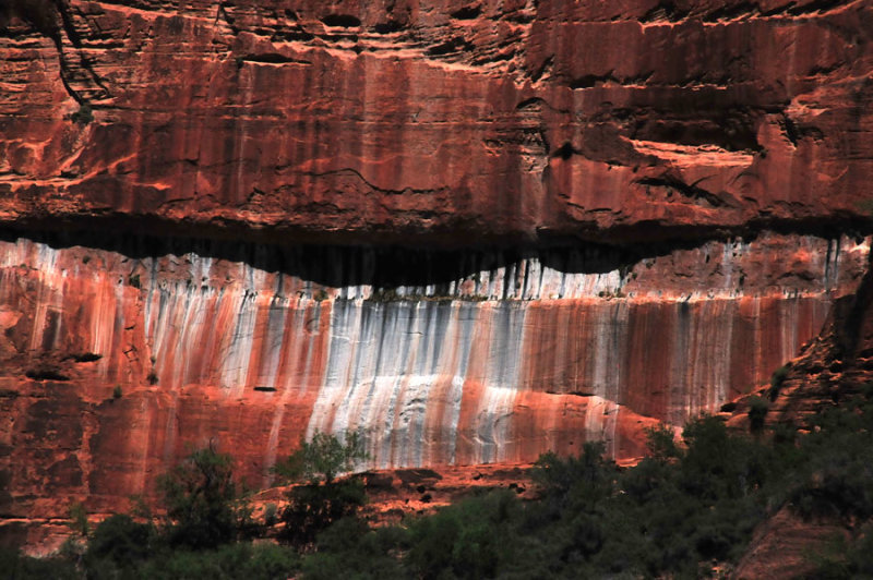 Zion-Utah15 - 8449