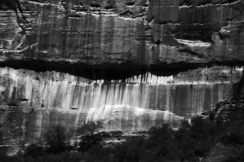 Zion-Utah15 - 8449bw