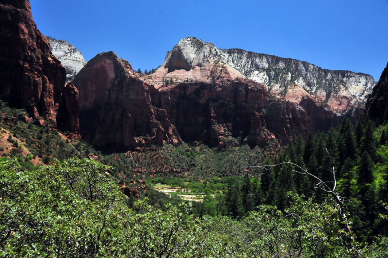 Zion-Utah15 - Virgin River valley - 8458
