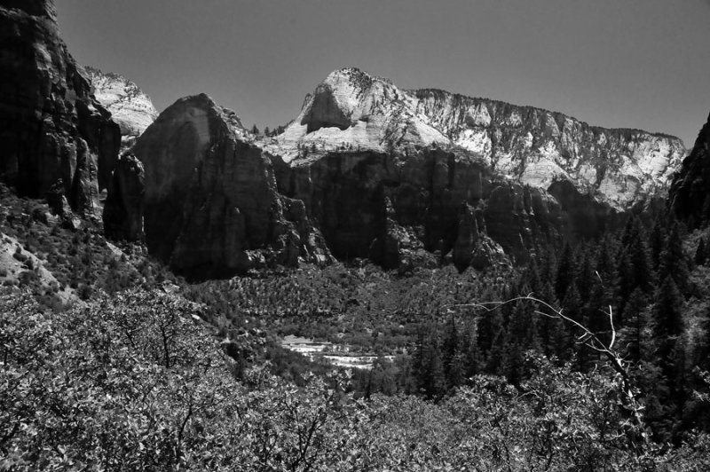 Zion-Utah15 - Virgin River valley - 8458bw