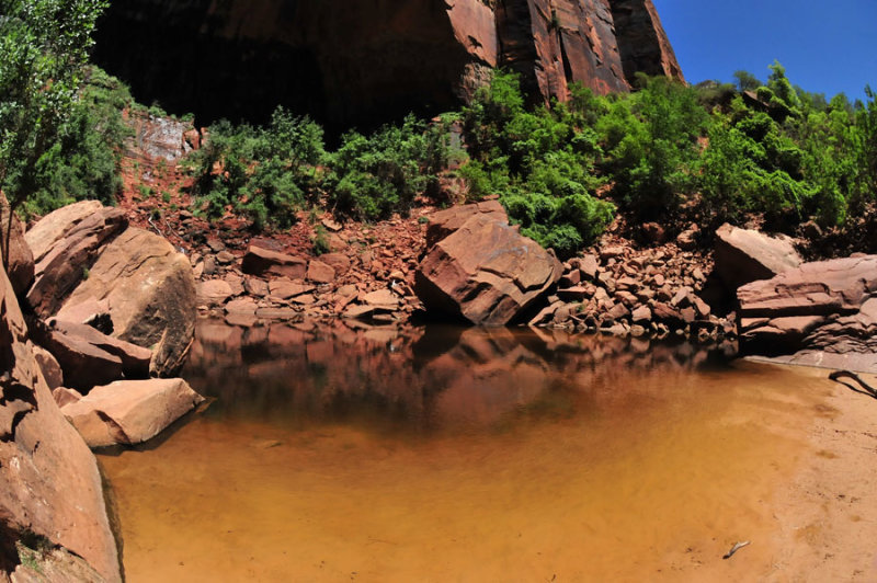 Zion-Utah15 - 8462