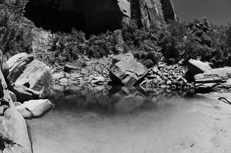 Zion-Utah15 - 8462bw