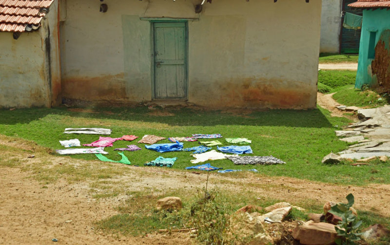 Drying the wash - India-2-0550