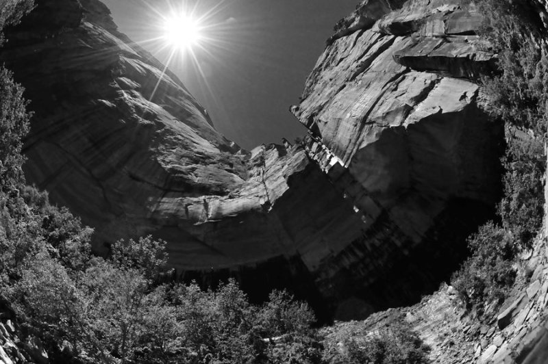 Zion-Utah15 - 8468bw