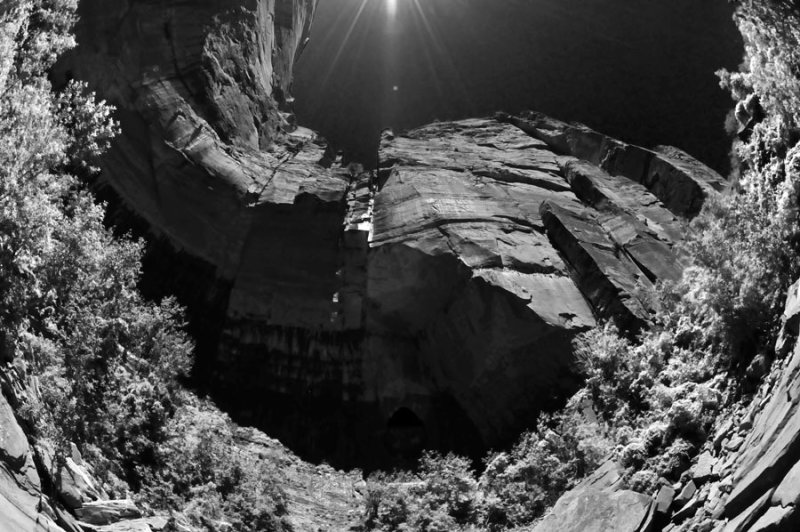 Zion-Utah15 - 8469ir