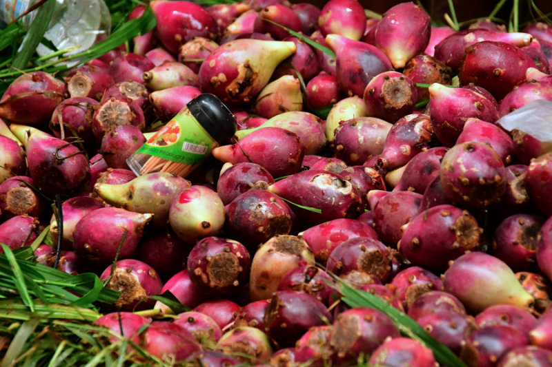 Cactus fruits in the medina - Moroc-3038