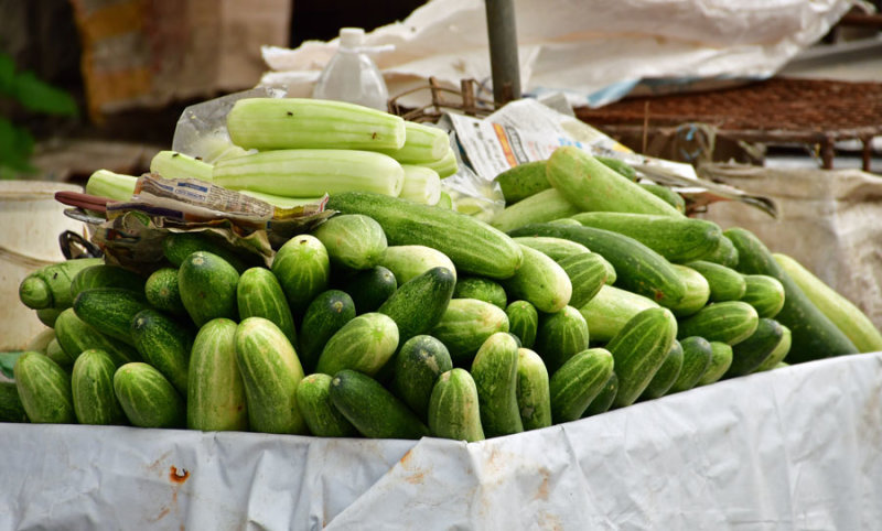 Cucumbers - India-2-0625