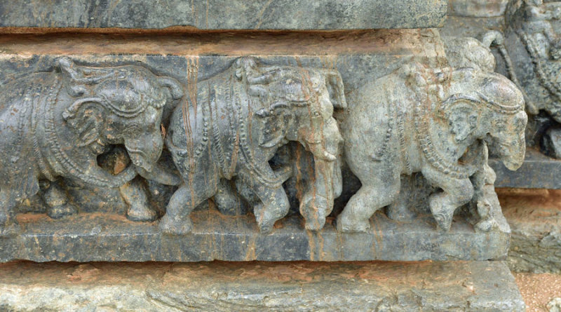 Elephants - India-2-0634