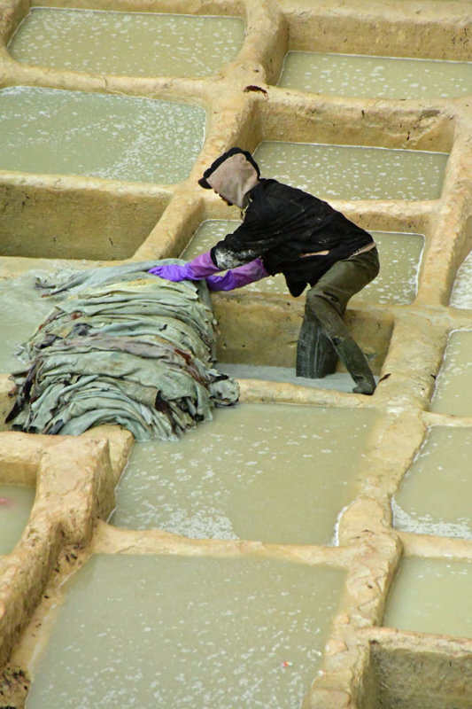 The Fez leather tannery - Moroc-3111