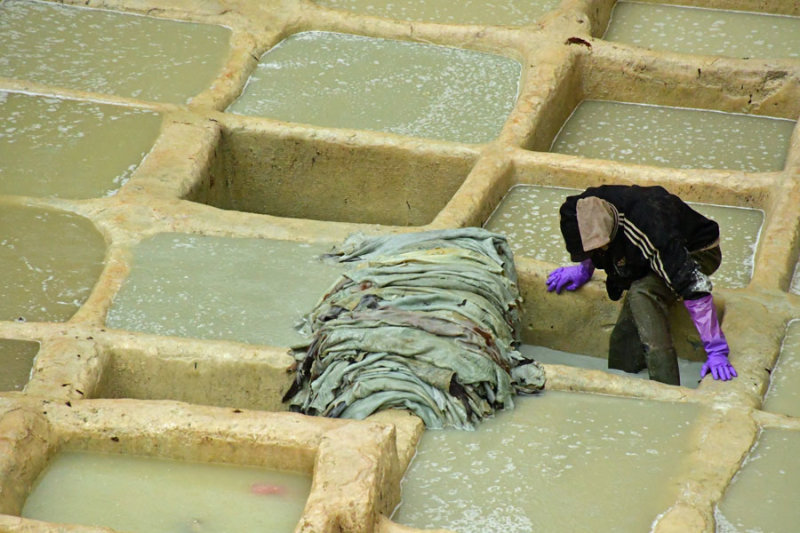 The Fez leather tannery - Moroc-3112