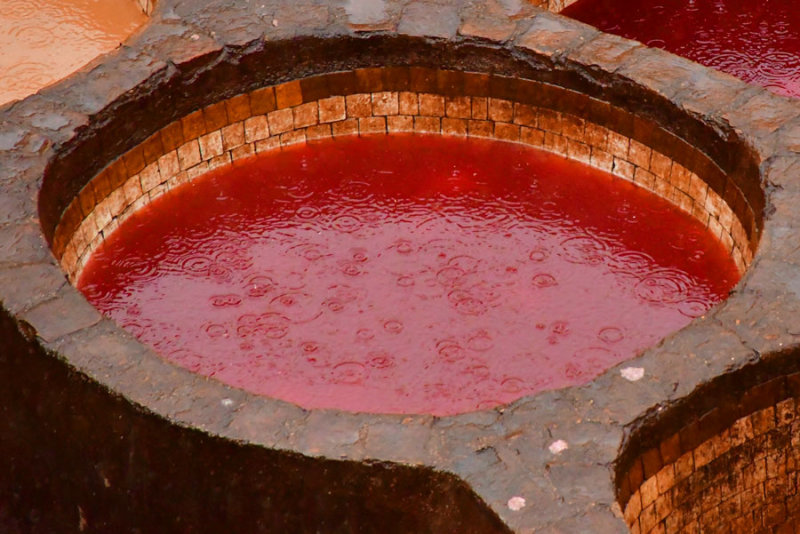 The Fez leather tannery - Moroc-3117cr