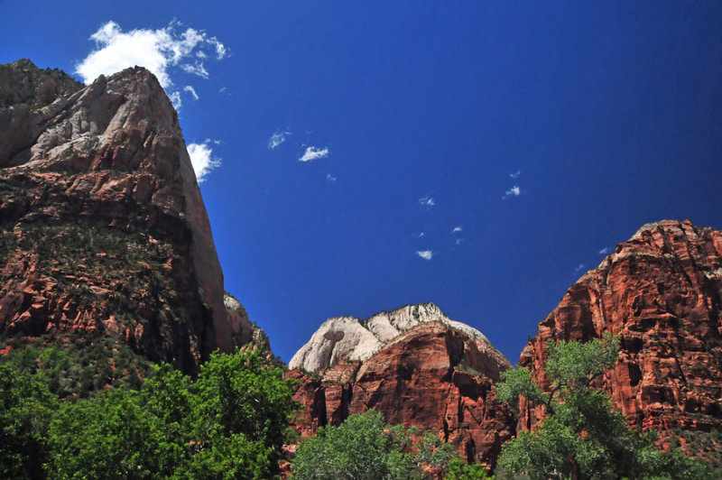 Zion-Utah15 - 8517