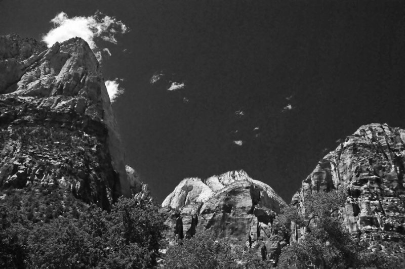 Zion-Utah15 - 8517bw