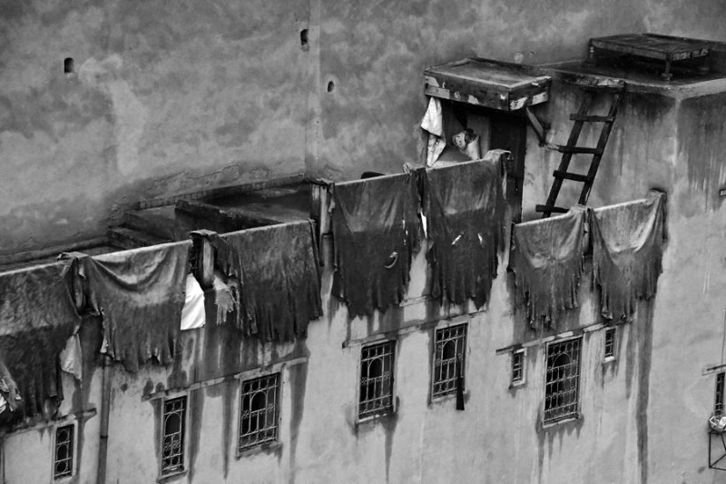 The Fez leather tannery - Moroc-3126bw