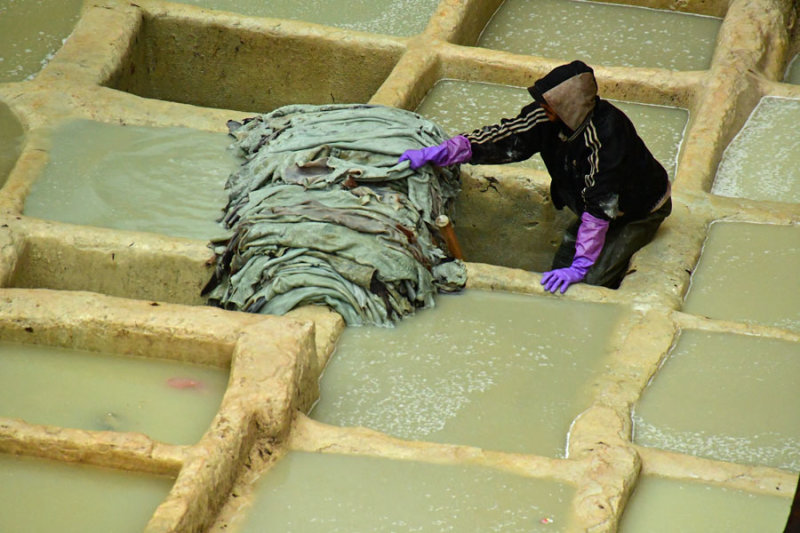 The Fez leather tannery - Moroc-3131