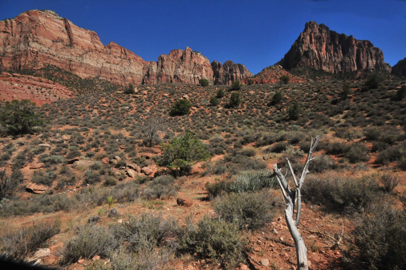 Zion-Utah15 - 8554