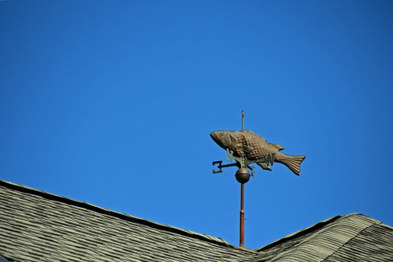 05-17 Cape Shores 3529