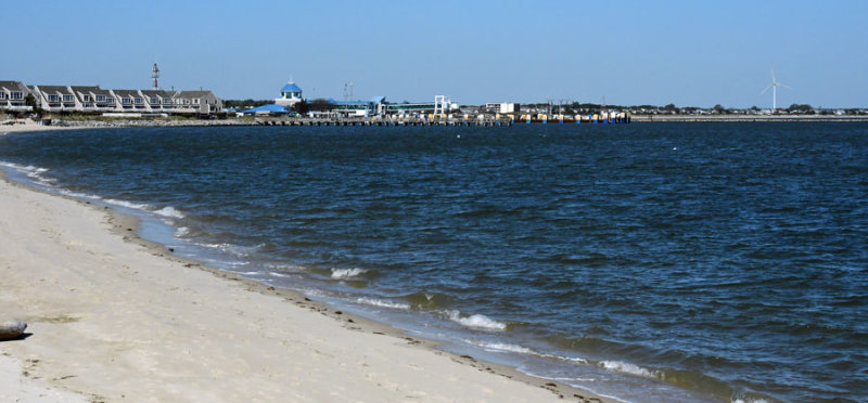 05-17 Delaware Bay 3530