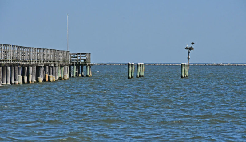 05-17 Osprey nest 3561