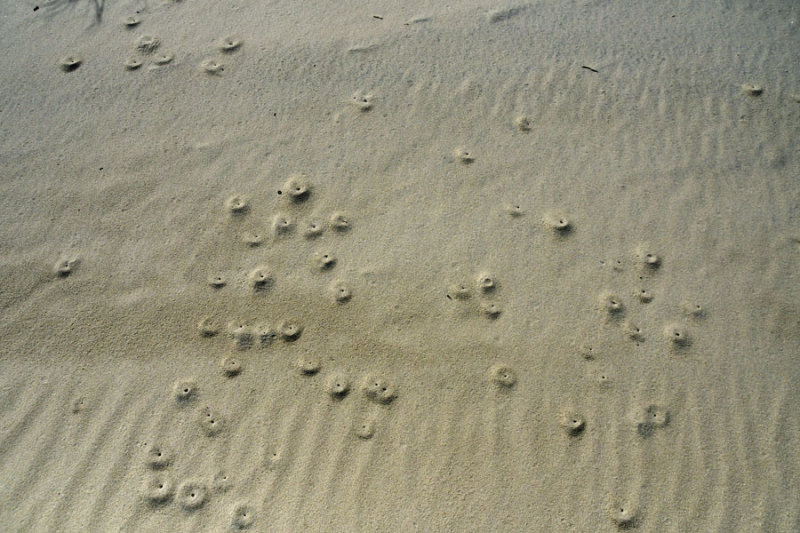 05-17 3578