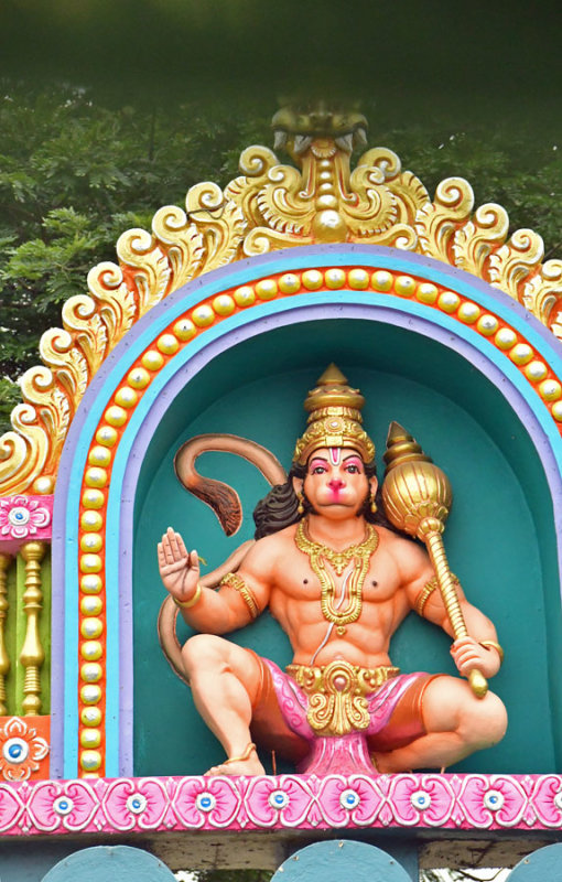 Monkey god - India-2-0837