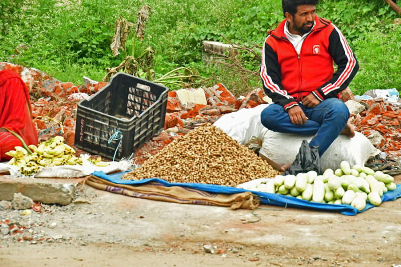 Selling peanuts and cucumbers - India-2-0844