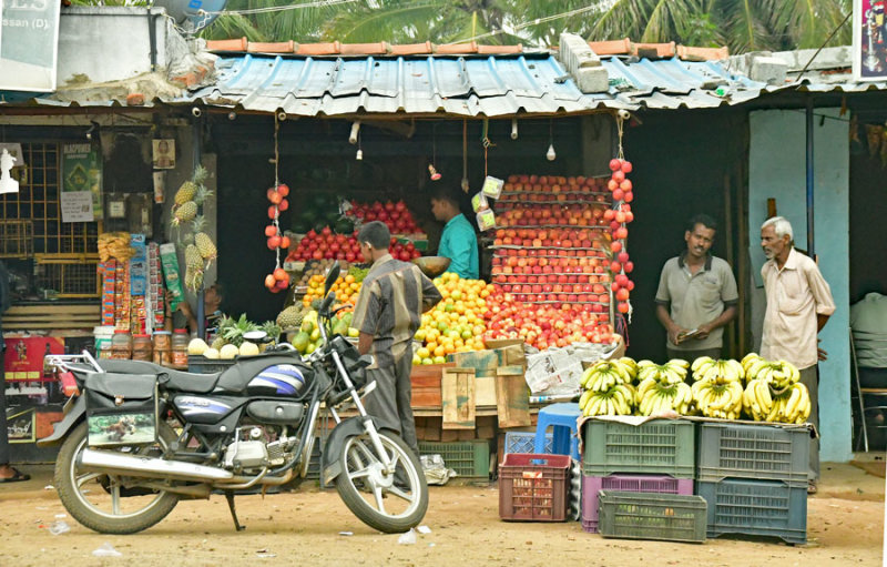 Fruit stall - India-2-0848