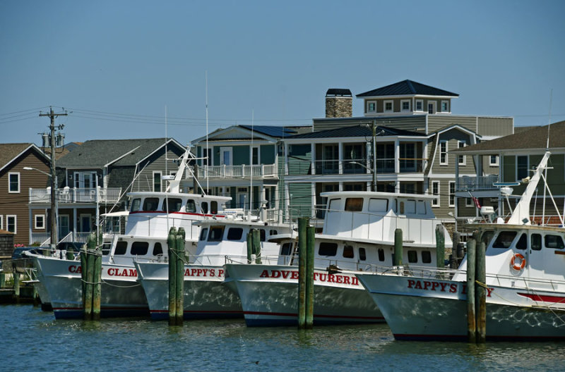 05-17 Head boats 3638