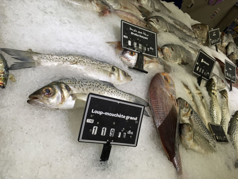Fresh fish - Moroc-i0251
