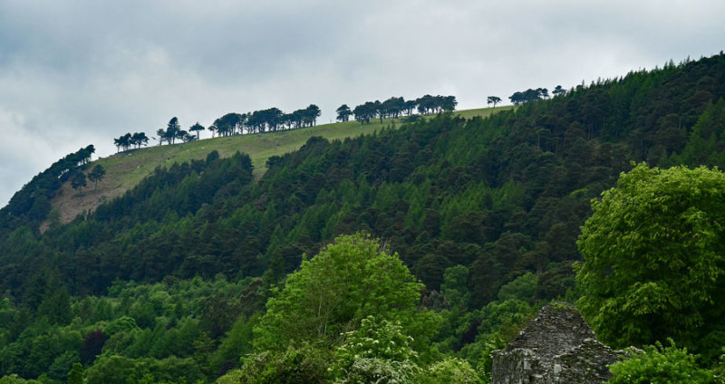 06-07 Glendalough 4291c