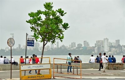g12/31/528631/3/168939026.YcQIYAq1.jpg