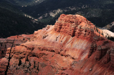 Cedar Breaks Natl. Monument, Utah