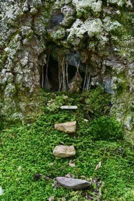 07 Those who dwell in the forest 1021