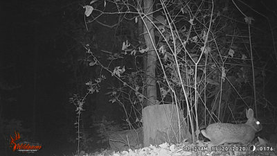 g12/31/528631/3/171326678.zTXzvhsx.jpg