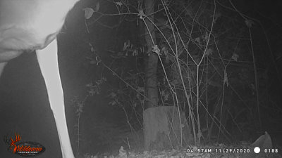 g12/31/528631/3/172291058.dRjt5uSp.jpg