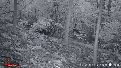 g12/31/528631/3/172291075.tyUADqO8.jpg