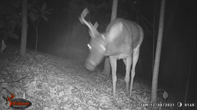 g12/31/528631/3/172291095.nws64Gyy.jpg