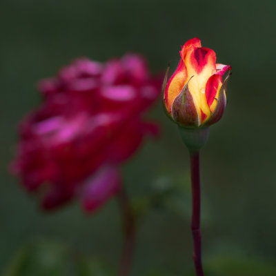 _AND6930-Editar.jpg