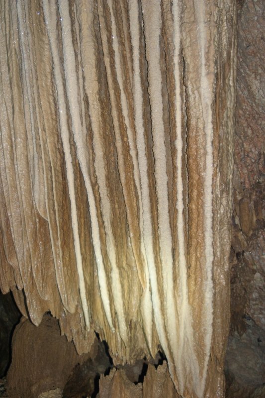 Curtain