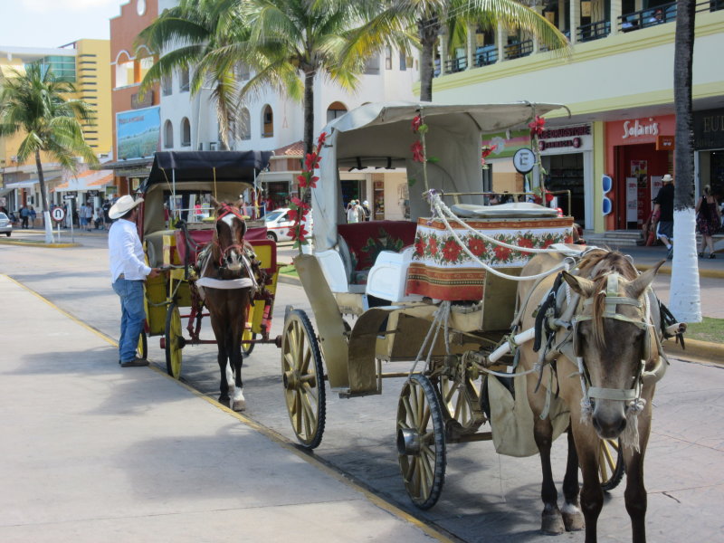 Horse and carriage ride, anyone?