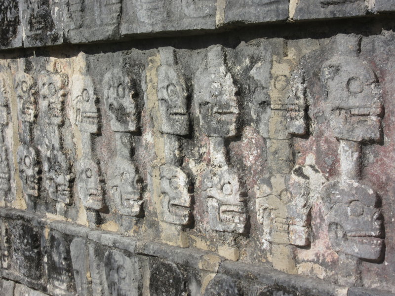 Many skulls