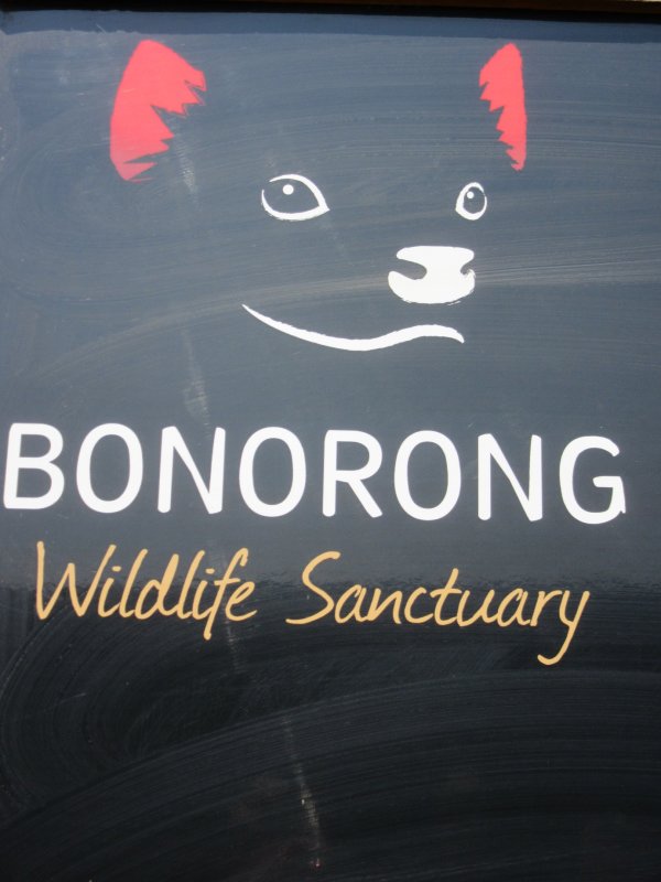 Bonorong Wildlife Sanctuary
