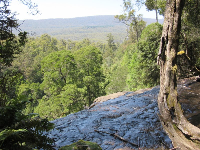 We walked up to the top of Russell Falls...