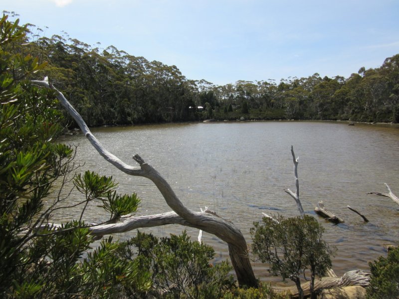 Lake Dobson